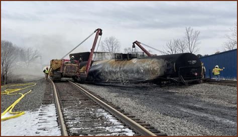 Pets die following Ohio train derailment, worrying residents