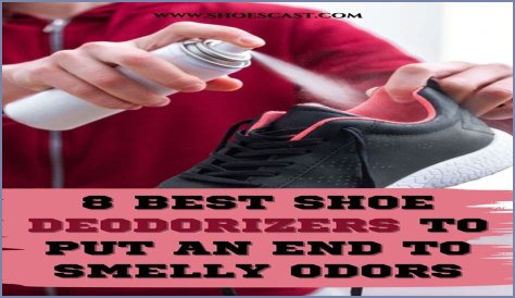 The 6 best shoe deodorizers, according to experts in 2024